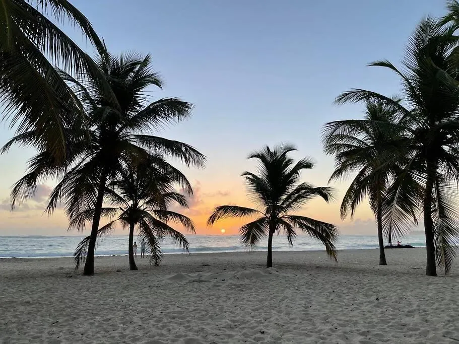 Beach Life, The Place You'Ve Been Looking For. Punta Cana 0*,